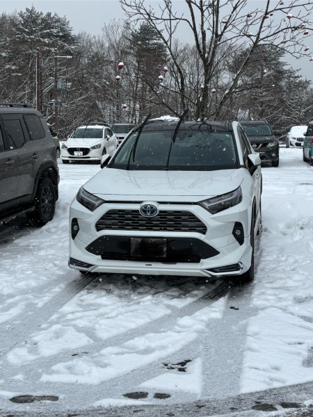 BRIDGESTONE BLIZZAK DM-V3の評判・評価・ユーザーレビュー一覧