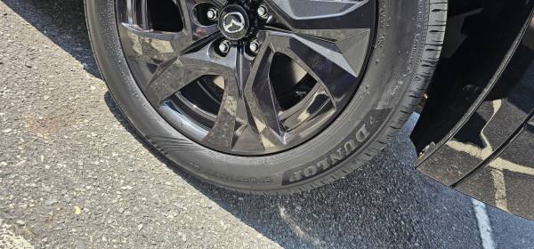 DUNLOP SPORT MAXX LUX 225/55R19 103V XL | タイヤの通販 販売と交換