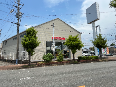 初期伊万里扇面図筒茶碗陶片